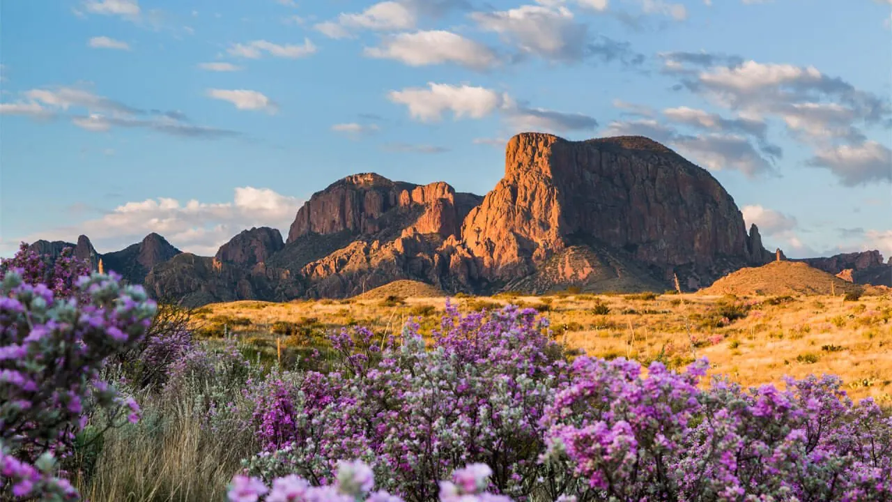 Texas adventure and local exploration